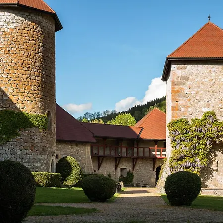 Château De Thorens-Glières