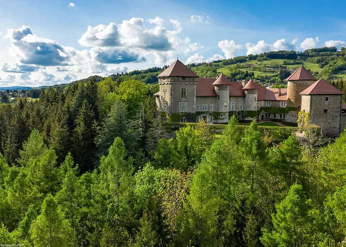 Hotel Chateau De