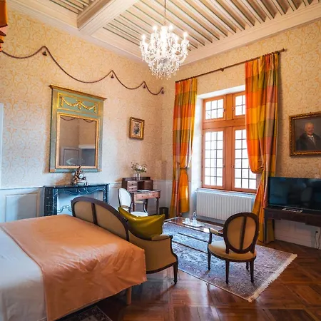 Chateau De Thorens-Glières